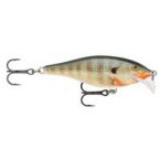 Scatter Rap Shad 05 BG